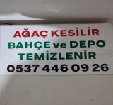 Ali Aslan