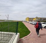 Umut  Erol