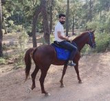 Bedri Çelik